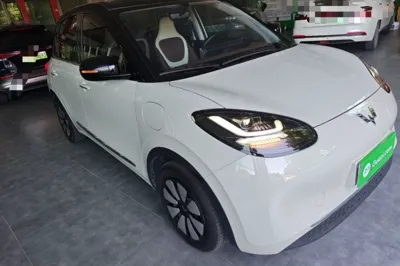 Wuling Bingo