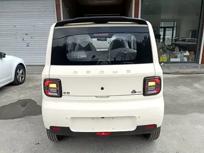 Galaxy Panda