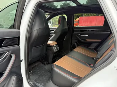 BYD PLUS
