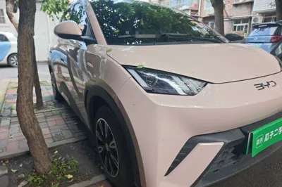 BYD Seagull