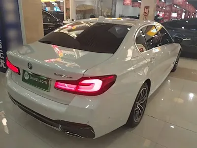 BMW 5 Series New Energy