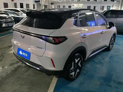 Wuling 缤果S