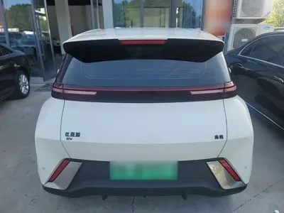 BYD Seagull