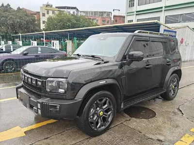 Shanhai 捷途旅行者C-DM