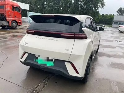 BYD Seagull