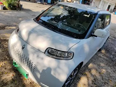ORA Ora White Cat