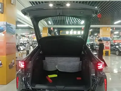 Volkswagen 06