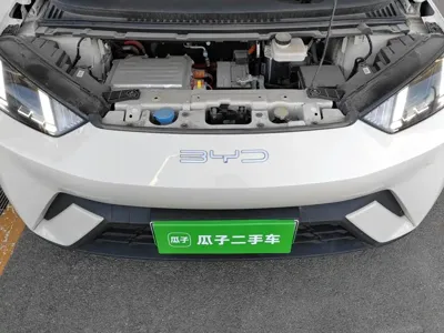 BYD Seagull