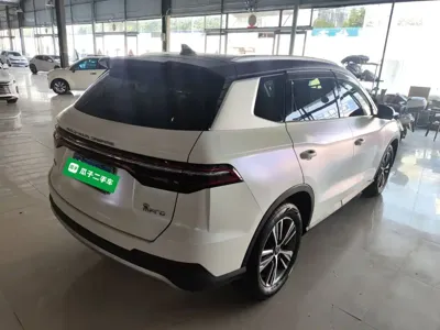 BYD Pro