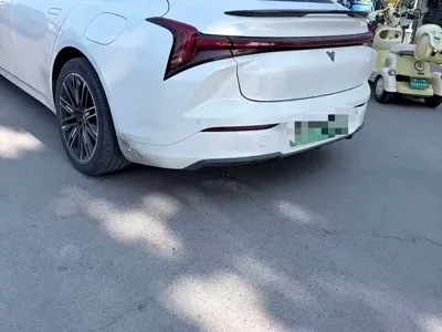 NETA Neta S
