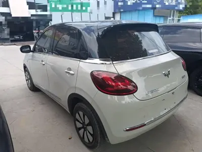 Wuling Bingo