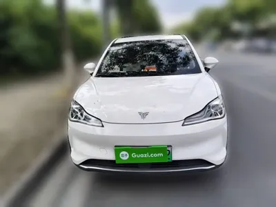 NETA Neta V