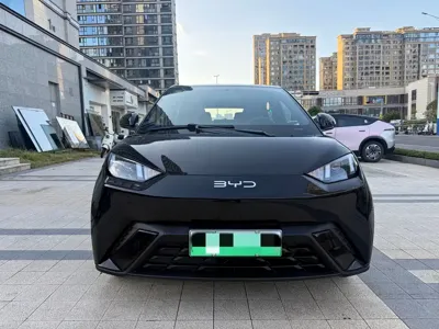 BYD Seagull