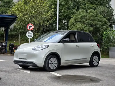 Wuling Bingo