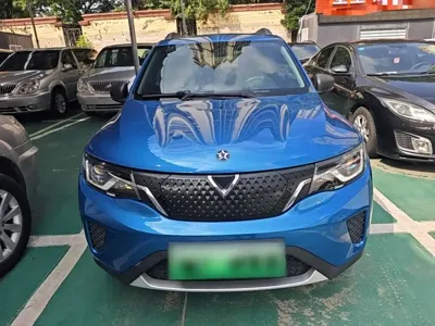 Venucia e30