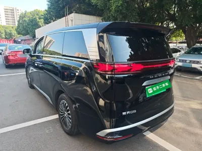 Denza D9