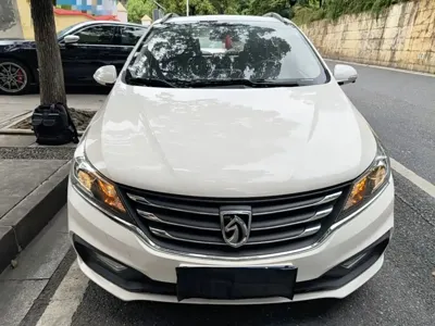 Baojun 310