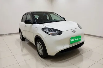 Wuling Bingo