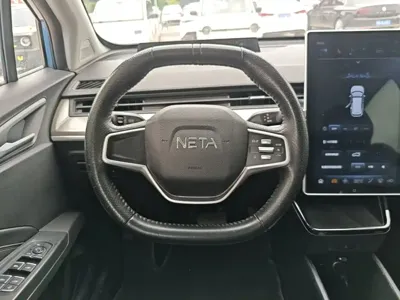 NETA Neta V