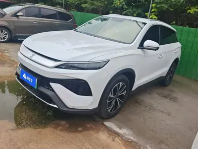 BYD Pro New Energy