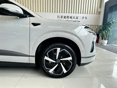 BYD 海狮06