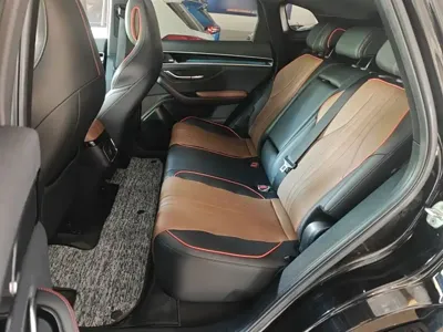BYD PLUS