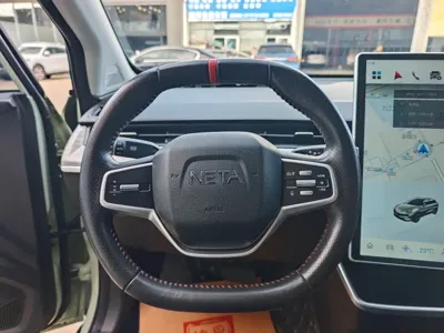 NETA Neta V