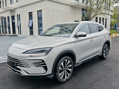 BYD PLUS New Energy