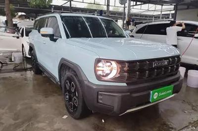 Haval X DOG