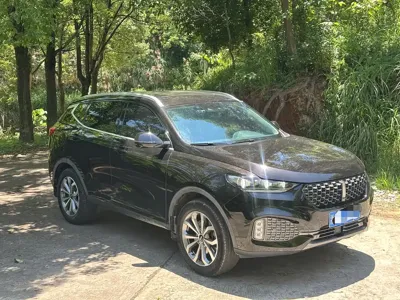 WEY Wey VV6