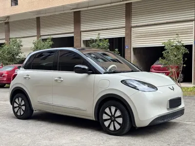 Wuling Bingo