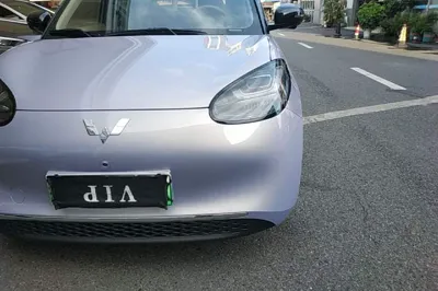 Wuling Bingo