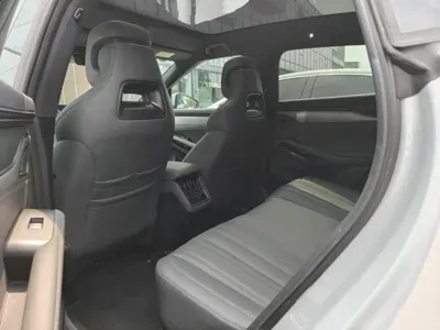 BYD L EV