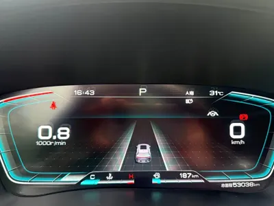 BYD PLUS