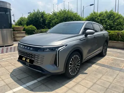 EXEED Yaoguang C-DM