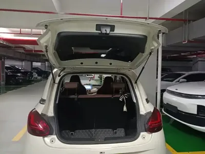 Wuling Bingo