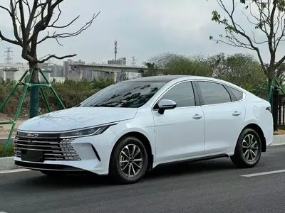 BYD Destroyer 05