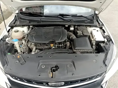 Geely Binrui