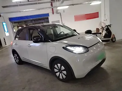 Wuling Bingo
