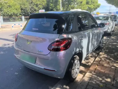 Wuling Bingo