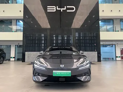 Denza Denza Z9