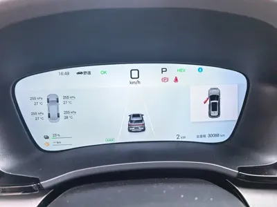 BYD PLUS New Energy
