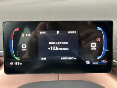 BYD Seagull