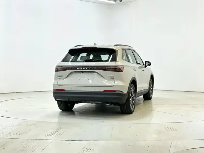 Haval Xiaolong Max
