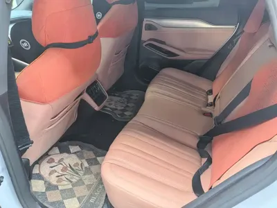 BYD L EV