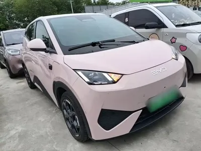 BYD Seagull