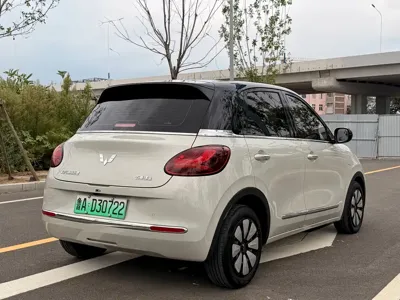 Wuling Bingo
