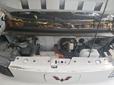 Wuling Zhiguang EV