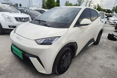BYD Seagull