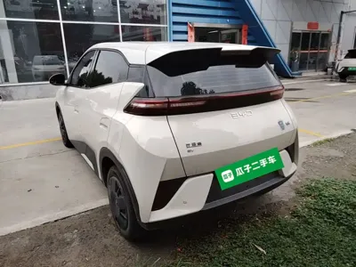 BYD Seagull